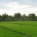 2005_indonesiatrip_125_2